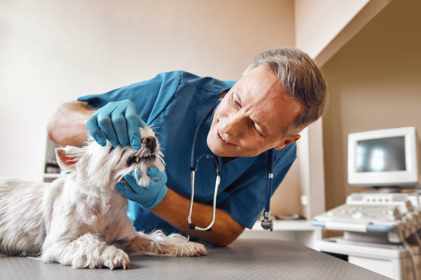 Best Emergency Root Canal Treatment in Elizabeth, NJ